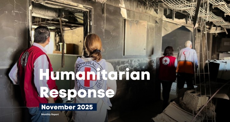 Humanitarian Response Report (November, 2025)